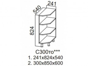 С300то Стол-рабочий 300 (торцевой открытый) в Красноуральске - krasnouralsk.magazin-mebel74.ru | фото