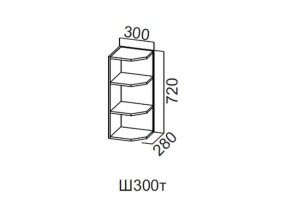 Ш300т/720 Шкаф навесной 300/720 (торцевой) в Красноуральске - krasnouralsk.magazin-mebel74.ru | фото