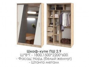 шкаф-купе ПШ-2.9 1500 Норд Белый жемчуг 1500 в Красноуральске - krasnouralsk.magazin-mebel74.ru | фото